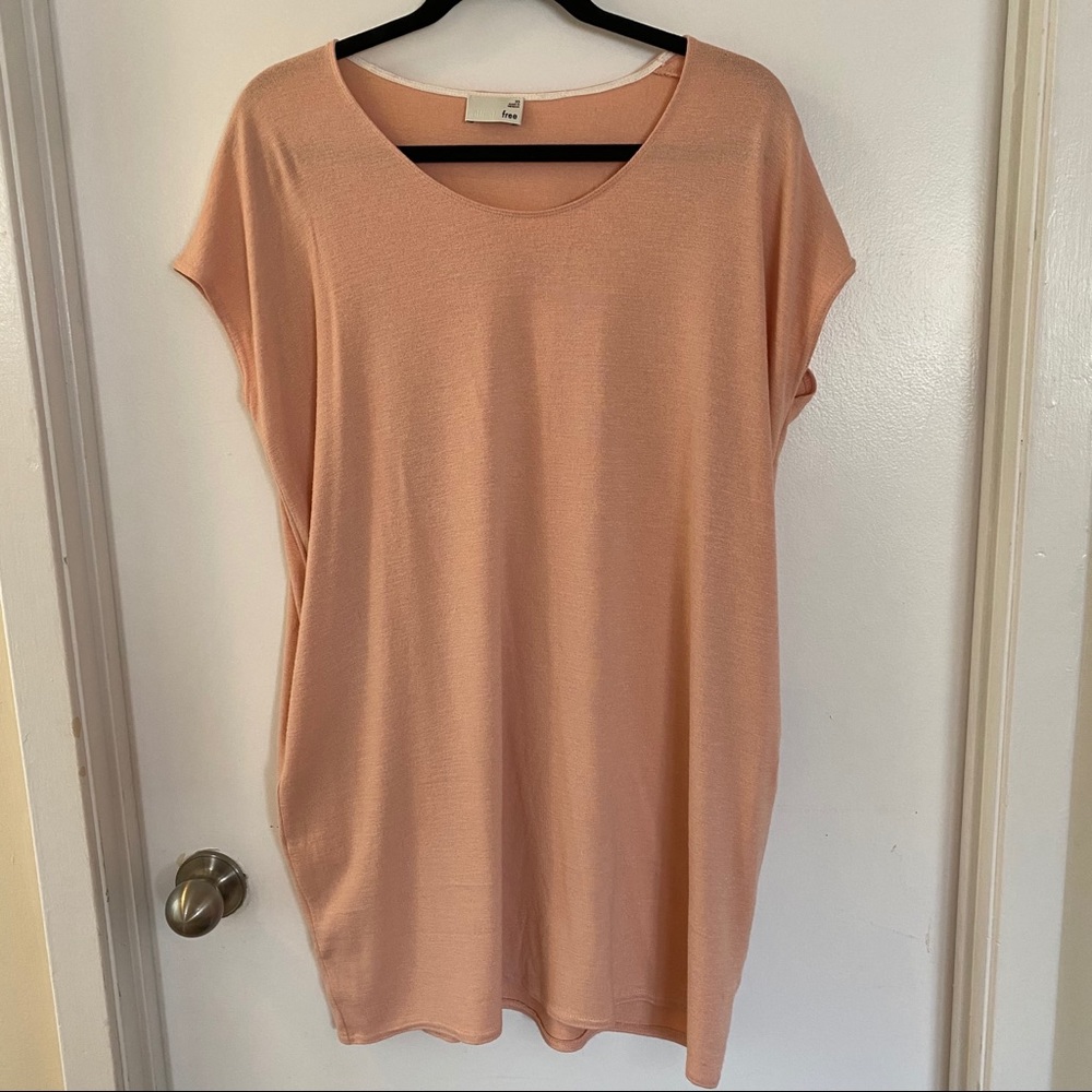 Wilfred Free Dress